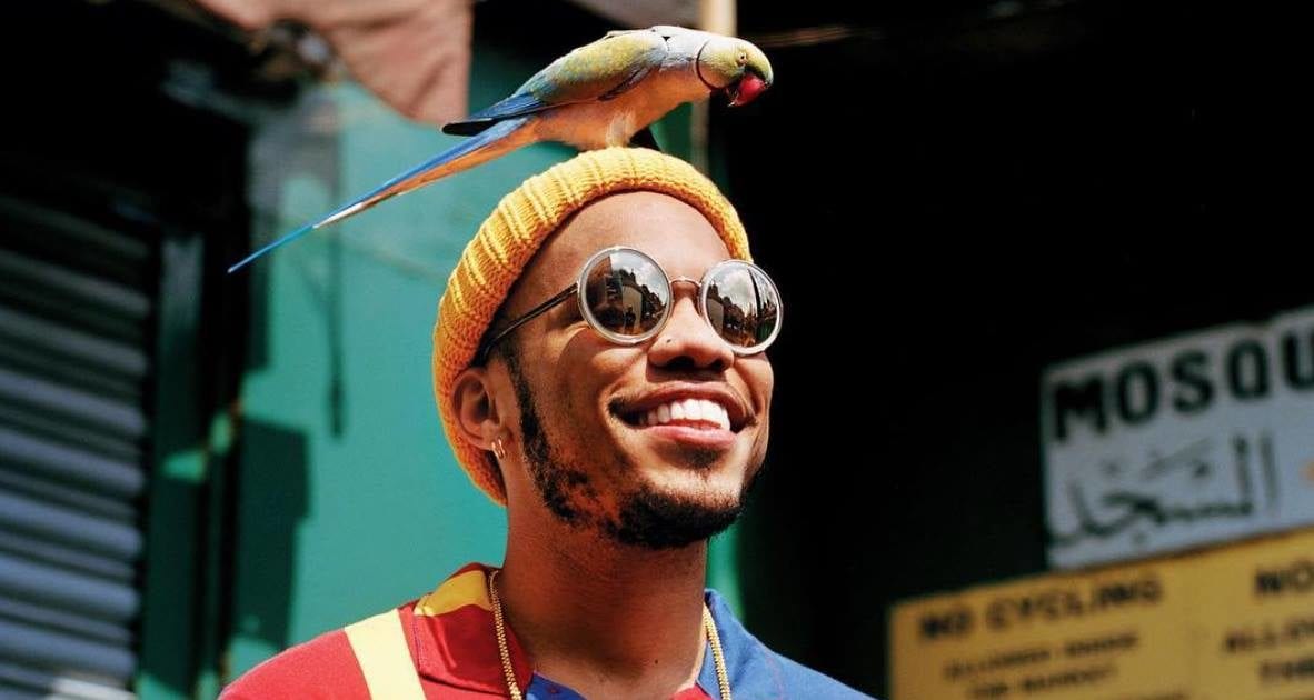 anderson paak world tour