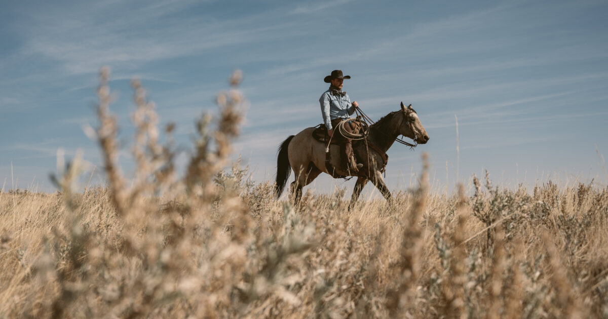 Colter Wall Announces New Album 'Little Songs', Shares "Evangelina