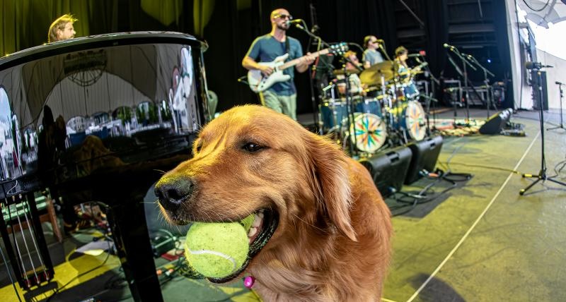 Joe Russo’s Almost Dead Outlines 2026 Summer Tour [Tickets]